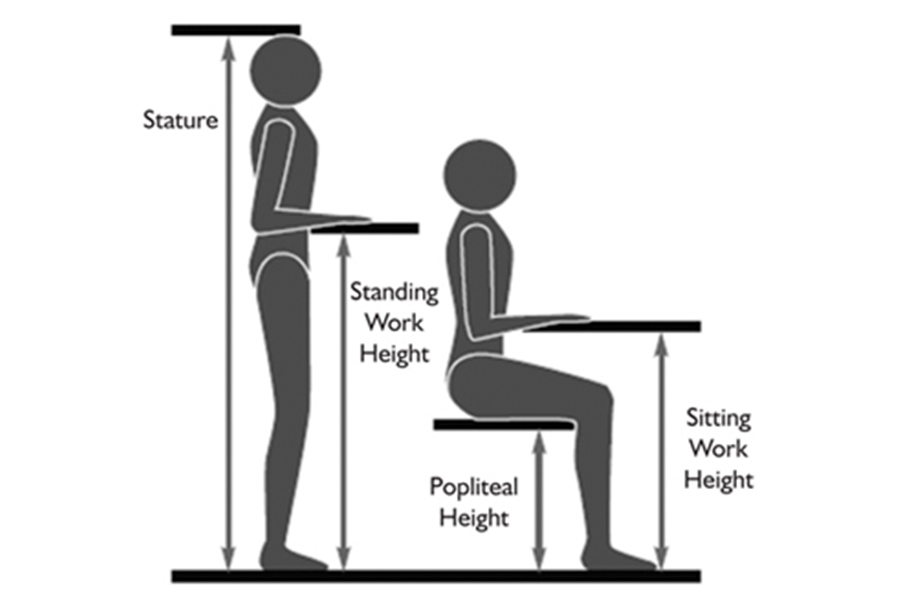 Postura+ Chair & Table Sizing Guide