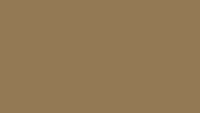 Misty Brown