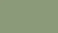 Pale Green