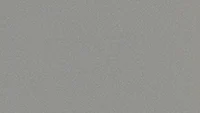 Starlight Silver Metallic