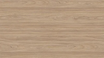 Natural Noble Elm