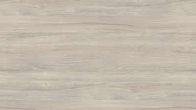 Silver Liberty Elm